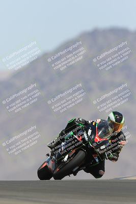 media/May-13-2023-SoCal Trackdays (Sat) [[8a473a8fd1]]/Turn 9 (11am)/